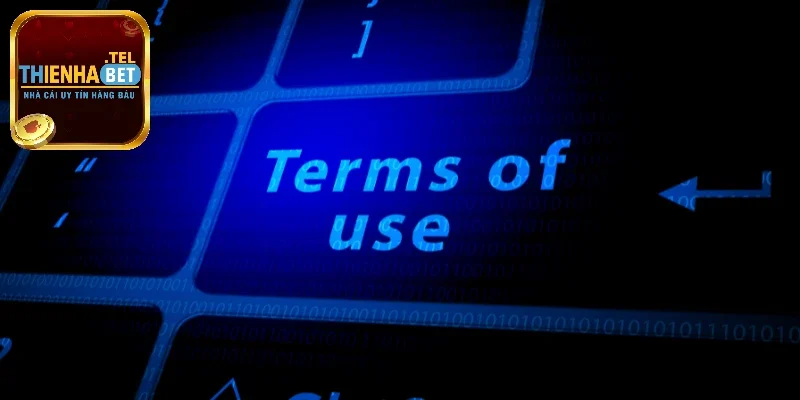 Điều Khoản & Điều Kiện Tham Gia Vào Nhà Cái Online Thienhabet 2 Điều khoản & điều kiện về giao dịch