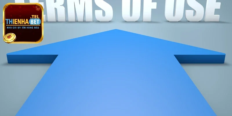 Điều Khoản & Điều Kiện Tham Gia Vào Nhà Cái Online Thienhabet 3 Điều khoản & điều kiện vệ quyền lợi của người chơi tại Thienhabet